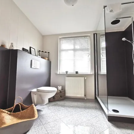 Homelig Altstadt 아파트 사스니츠