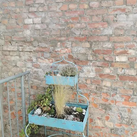 Homelig Altstadt Apartamento *